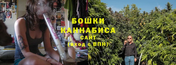 PSILOCYBIN Армянск