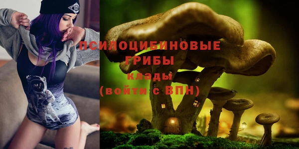 mix Аркадак