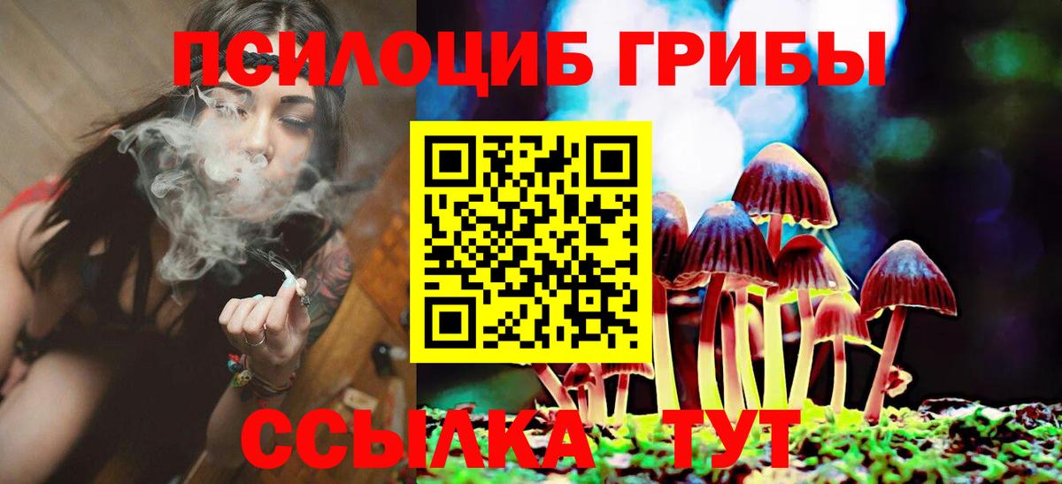 Псилоцибиновые грибы GOLDEN TEACHER Выкса